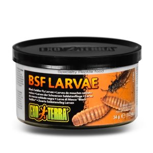 EXO TERRA Larvae - pokarm w puszce larwy sklep akwarystyczny śląsk
