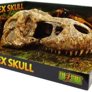 EXO TERRA T-Rex skull (czaszka dinozaura) sklep akwarystyczny śląsk