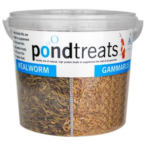 Evolution Aqua PondTreats 4in1 - karma mix dla ryb oczko wodne 6l sklep akwarystyczny śląsk