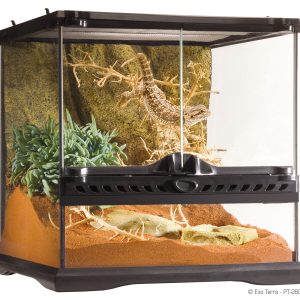 Exo Terra Terrarium szklane Mini Wide (30x30x30 cm) sklep akwarystyczny śląsk
