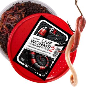 Fishing Expedition Live Worms No.2 - żywe czerwone robaki rozmiar 2 sklep akwarystyczny śląsk