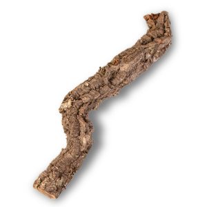 Gałąź z Dębu korkowego 50cm sklep akwarystyczny śląsk