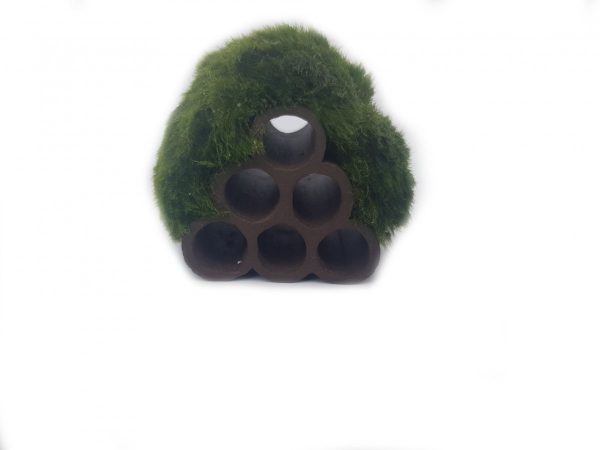 Gałęzatka Na Rurkobloczku Mikro 6-Rurek 40x40x40cm Naturalna Ozdoba sklep akwarystyczny śląsk