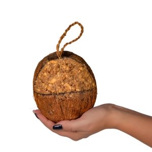 Gami Kokos tłuszczowy cały 0.5kg - pokarm dla ptaków dzikich sklep akwarystyczny śląsk