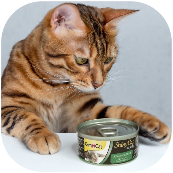 GimCat ShinyCat in Jelly - karma mięsna kurczak i jagnięcina 70g sklep premium dla akwarystów