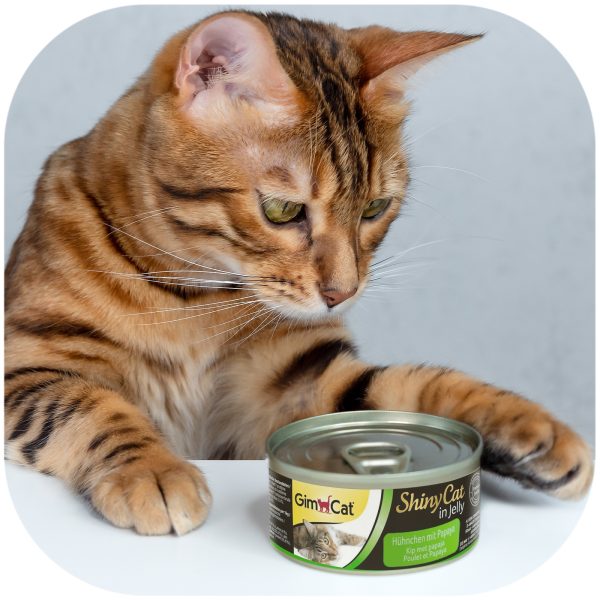 GimCat ShinyCat in Jelly - karma mięsna kurczak i papaja 70g sklep premium dla akwarystów