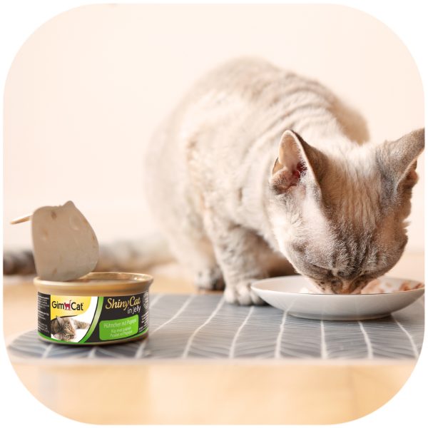 GIMCAT PUSZKA SHINYCAT HUNCHEN PAPAYA 70G sklep akwarystyczny / terrarystyczny