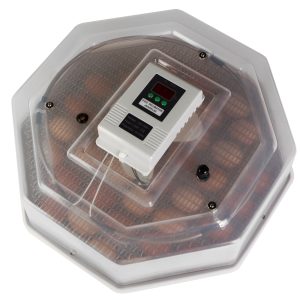 HFM Brüterei Thermo 60 - inkubator z termostatem na 60 jaj sklep akwarystyczny śląsk
