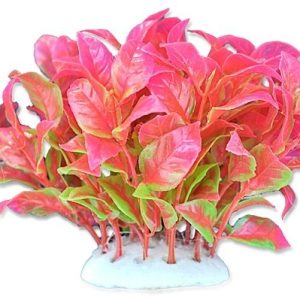 Happet Aquatic Plant - czerwona roślinka sztuczna 10cm sklep akwarystyczny śląsk
