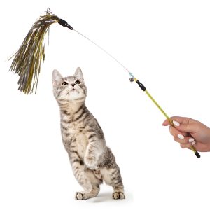 HappyPet Bellini Cat Teaser - zabawka do wspólnej zabawy sklep akwarystyczny śląsk