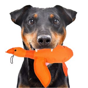 HappyPet Dazzle Ducks - piszcząca kaczka sklep akwarystyczny śląsk