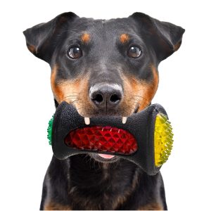 HappyPet Disco Dazzler LED - świecący gryzak sklep akwarystyczny śląsk