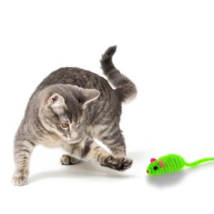 HappyPet Fiesta Mice - myszka dla kota sklep akwarystyczny śląsk