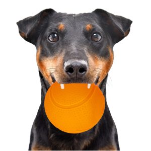 HappyPet Glow Balls - piszcząca piłka sklep akwarystyczny śląsk