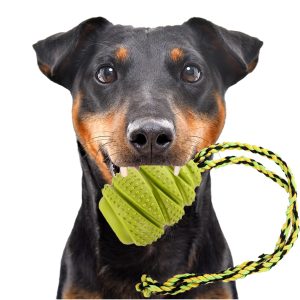 HappyPet Grrrelli Tugger - gryzak z sznurkiem sklep akwarystyczny śląsk