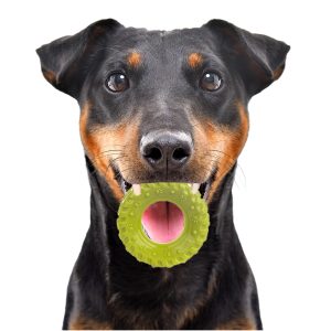 HappyPet Grrrelli Tyre S - gumowy gryzak sklep akwarystyczny śląsk