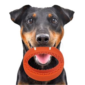 HappyPet Grubber Interactive Football Small - interaktywna piłka sklep akwarystyczny śląsk