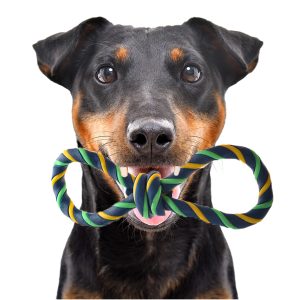 HappyPet Gum Gum Figure - lateksowa zabawka sklep akwarystyczny śląsk