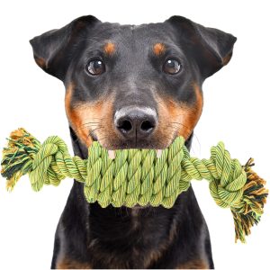 HappyPet Kingsize Coil Tugger - aport z bawełnianego sznurka sklep akwarystyczny śląsk