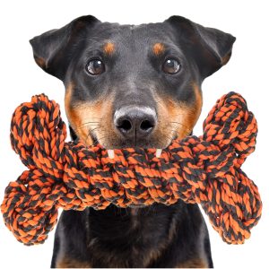 HappyPet Knots Extreme Bone - zabawka pleciony sznur sklep akwarystyczny śląsk