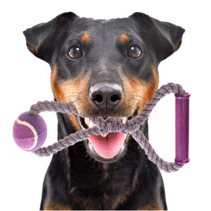 HappyPet Knots Tennis Ball - piłka tenisowa z plecionym sznurem sklep akwarystyczny śląsk