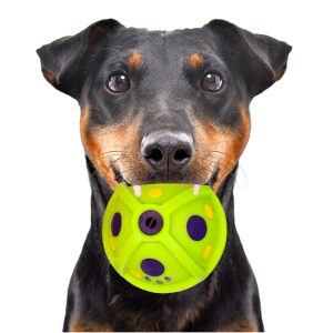 HappyPet Laughing Treat Ball - piłka dozująca przysmaki sklep akwarystyczny śląsk