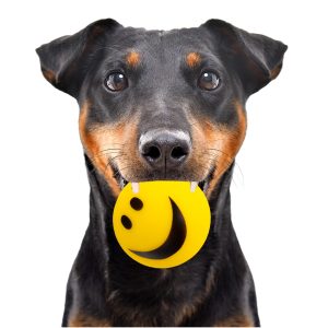 HappyPet Smiley Ball - uśmiechnięta piłeczka sklep akwarystyczny śląsk