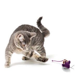HappyPet Velour Mice - myszka dla kota sklep akwarystyczny śląsk