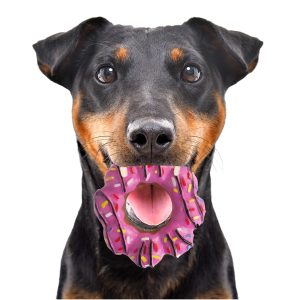 HappyPet Vinyl Donut - zabawka pączek sklep akwarystyczny śląsk