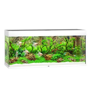 Juwel Rio 240 LED - akwarium sklep akwarystyczny śląsk
