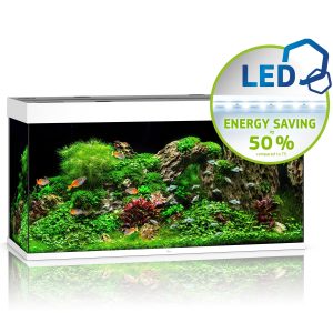 Juwel Rio 350 LED biały - akwarium sklep akwarystyczny śląsk