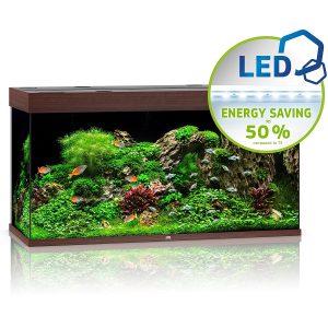 Juwel Rio 350 LED ciemne drewno - akwarium sklep akwarystyczny śląsk
