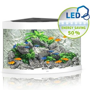Juwel Trigon 190 LED biały - akwarium sklep akwarystyczny śląsk