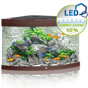 Juwel Trigon 190 LED ciemne drewno - akwarium sklep akwarystyczny śląsk