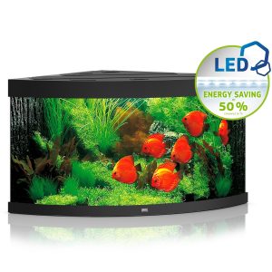Juwel Trigon 350 LED czarny - akwarium sklep akwarystyczny śląsk