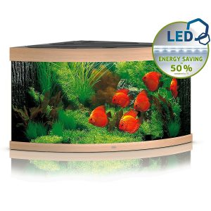 Juwel Trigon 350 LED jasne drewno - akwarium sklep akwarystyczny śląsk