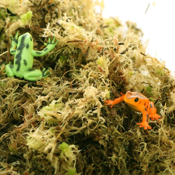 KOM HABITAT MOSS 3L 83004 sklep akwarystyczny / terrarystyczny