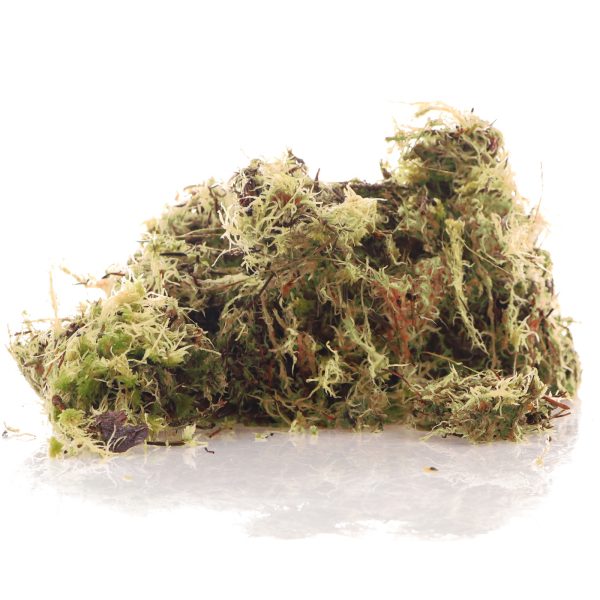 KOM HABITAT MOSS 3L 83004
