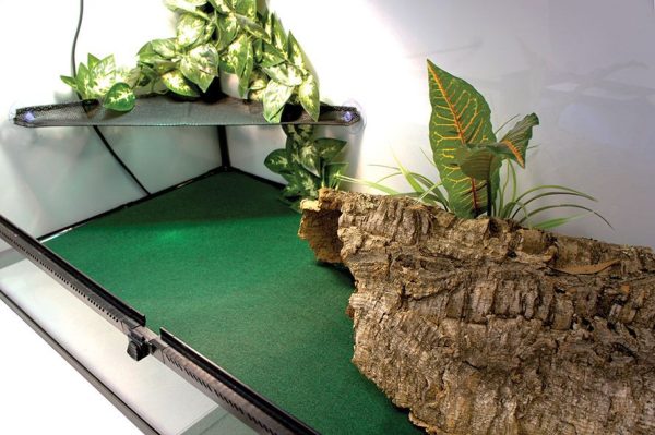 Kom Reptile Carpet 60x50 sklep akwarystyczny / terrarystyczny