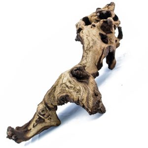 Korzeń Mopani 1kg sklep akwarystyczny śląsk