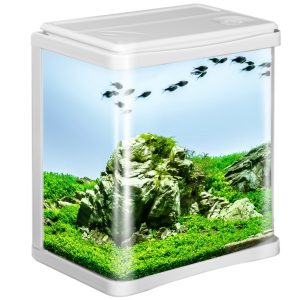 Kruger Meier Arona Aquarium 3l - akwarium zestaw biały sklep akwarystyczny śląsk