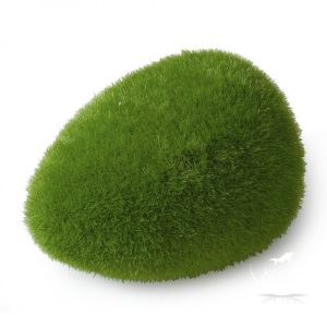 MOSS BALL-L / Gałęzatka kulista L 11