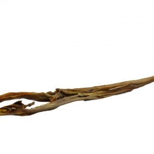 Maced SU Skóra z Sarny 6-14cm 50g sklep akwarystyczny śląsk