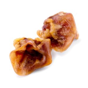 Maced Ucho Środkowe 100g Dla Dużych i Średnich Ras Psów sklep akwarystyczny śląsk