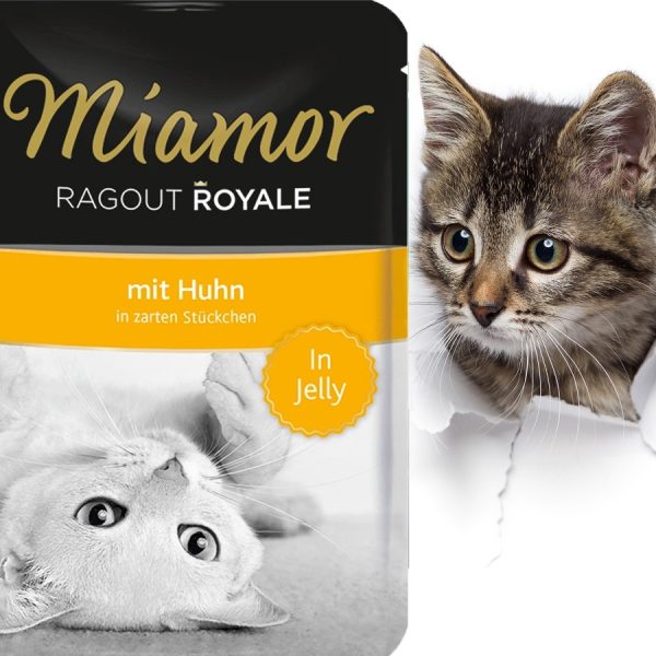Miamor Ragout Royal - mokra karma dla kota kurczak w galarecie 100g sklep premium dla akwarystów