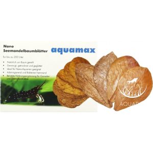 Nano-Seemandelbaumblätter (Ketapang Liście 10szt) (008)