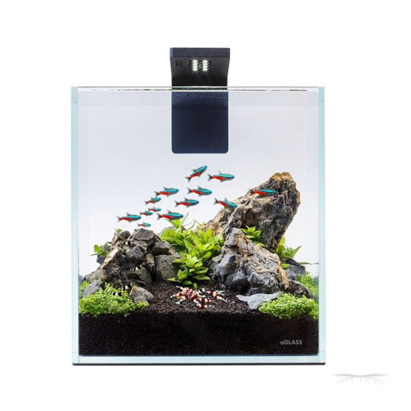 Nano Set 10L (7142) - Akwarium / Terrarium / Animals