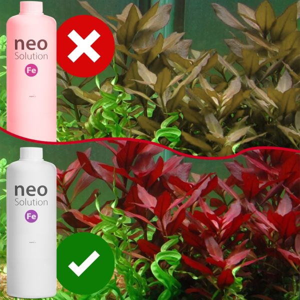 NEO SOLUTION FE 1000ML sklep akwarystyczny / terrarystyczny