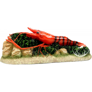 ORANGE SHRIMP / Pomarańczowa krewetka 18x8x6cm