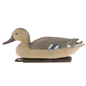 Oase Pond Figures Duck Female - pływająca ozdoba sklep akwarystyczny śląsk